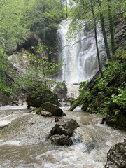 Lyazhginsky waterfall in the spring forest. Cascading waterfall drowning in greenery. Splashes of water. The water flows of the river Lyazhgi. Ingushetia, Caucasus Mountains, Russia
