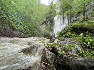 Lyazhginsky waterfall in the spring forest. Cascading waterfall drowning in greenery. Splashes of water. The water flows of the river Lyazhgi. Ingushetia, Caucasus Mountains, Russia