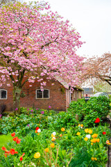 Historical buildings in Gelselaar village in Netherlands