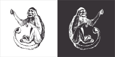 Illustration vector graphics of monkey icon