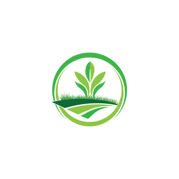 landscape logo, lawn care, agriculture logo,  organic eco farming, farm vector logo design
