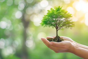 Human hand gently cradling a vibrant green tree icon symbolizing ESG principles and sustainable practices.
