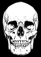 Skull head illustration isolated on black background