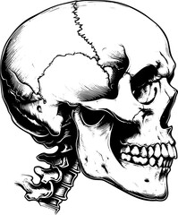 Skull side profile black and white illustration