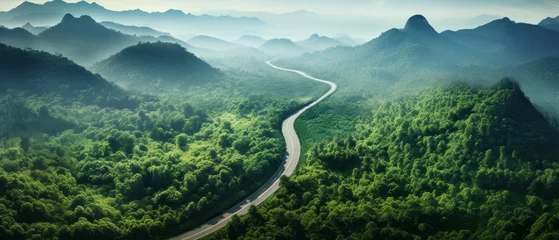 Foto op Plexiglas Aerial top view of a road bisecting a lush rainforest, illustrating the balance between human access and ecosystem preservation © Anuwat