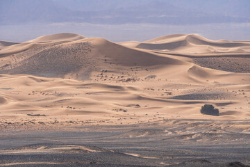 Fototapeta na wymiar Merzouga, Morocco, Stunning sand dunes in the desert