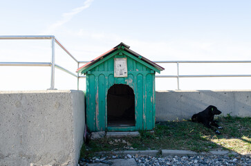 A dog and its booth, a black dog near the fence