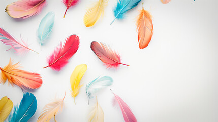 Colorful feathers scattered on a neutral white background with space for text. 