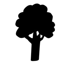 Tree Silhouette 