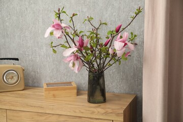 Magnolia tree branches in vase and retro radio receiver on wooden chest of drawers indoors