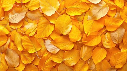 Seamless pattern created from vibrant yellow leaf texture
