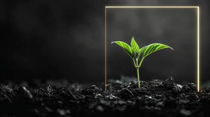 blank black background, one little seedling on the ground, thin neon frame for quotes, 16:9