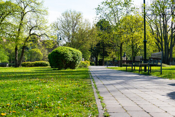 path in park