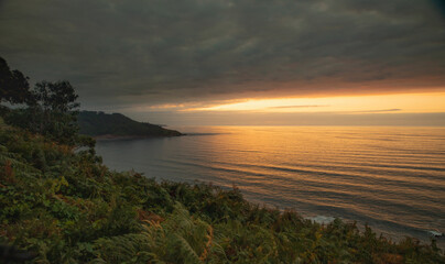 SUNSET ON THE SEA FROM THE COAST OF ASTURIAS WITH VEGETATION SURROUNDED BY BEAUTIFUL CLOUDS OF THE COAST