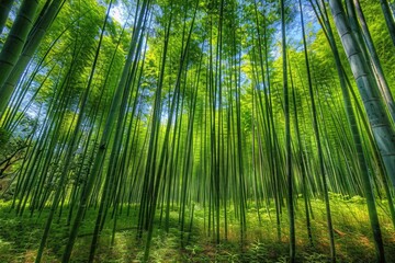 Bounty of the Bamboo Forest: Harvesting Nature's Gift in the Great Outdoors
