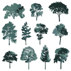 Trees, set of elevation trees - obrazy, fototapety, plakaty