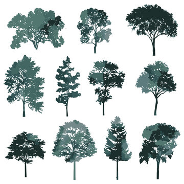 Trees, set of elevation trees