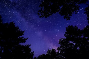 Fototapeta premium The sky is dark and the stars are shining brightly