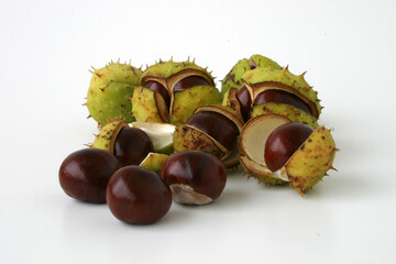 chestnuts on a white