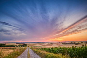 A dirt road on a hill between fields of ripening grain leading towards the setting sun