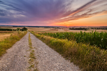 Ascending a hill, a dirt road passes through fields of ripening grain, leading towards the setting...