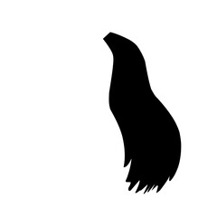 Horse Tail Icon 