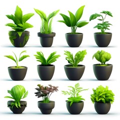 Obraz premium set of vector potted plant 3d icons on white background