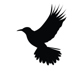 Flying Bird Silhouette. Nature and wildlife concept vector