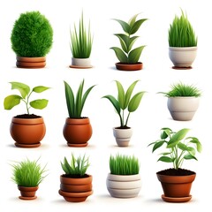 Fototapeta premium set of vector potted plant 3d icons on white background