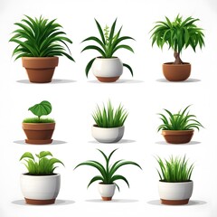 set of vector potted plant 3d icons on white background