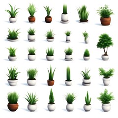 set of vector potted plant 3d icons on white background