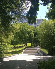 park in the park