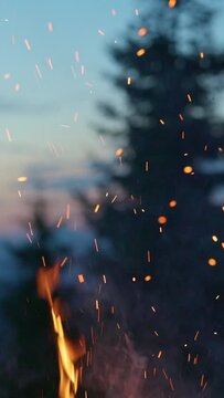 Bright sparks fly from the fire and float in the air. Bonfire, wild camping, hiking. Mountains, trees and sunset sky on the background. Slow motion, vertical shot