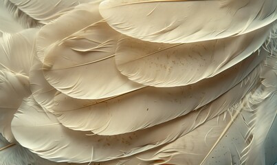 Bird feathers are white in color generated by AI