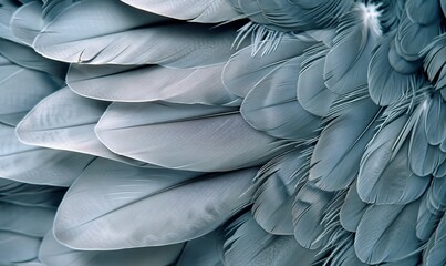 Bird feathers are gray in color generated by AI