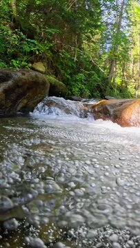Vertical Screen shot of River with clear water in the tropical rainforest. Half underwater slow motion shot of stream between stones with small waterfalls. Pure water with bubbles in jungle river