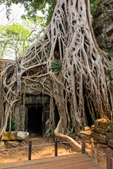 Ta Prohm