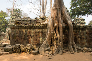 Ta Prohm