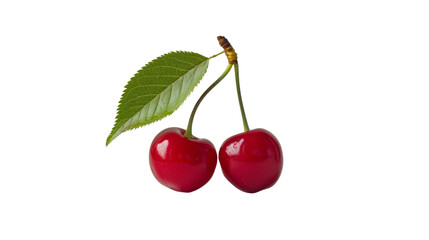 Cherries