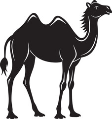 Camel in black on a white background, vector illustration