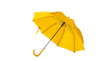 Yellow umbrella
