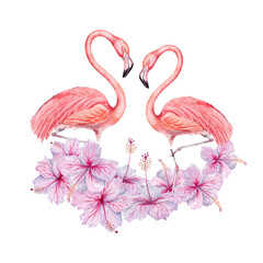 Two flamingo birds with hibiscus flowers watercolor composition. Hand drawn illustration on transparent background. For tropical cards, party invitations, logos, stickers. Floral and animal prints