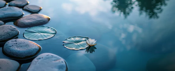 Foto op Plexiglas Silent reflection at the Zen pond at dusk, banner. © Irina