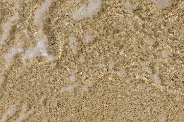 view of beautiful tropical beach and sea in sunny day. Beach sea copy space for text