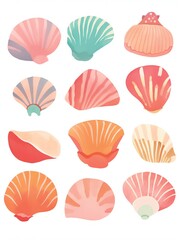 Seashell clipart collection featuring various types