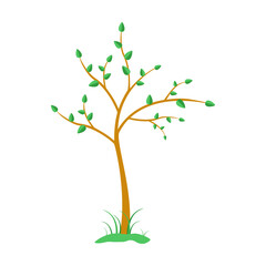 Fruit tree with grass. Tree with green leaves. Gardening. Growing tree. Vector flat illustration.