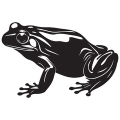 a black frog with a black outline of a frog on it