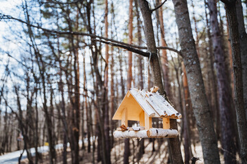 A bird feeder hangs from a tree in the snowy woods