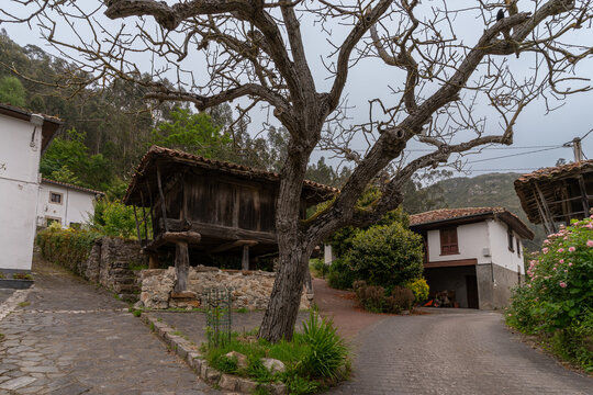 Asturian horreo (construction to preserve food) in the Town of Cuevas. Ribadesella. Asturias