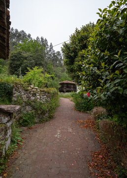 vertical composition. Asturian horreo (construction to preserve food) in the Town of Cuevas. Ribadesella. Asturias